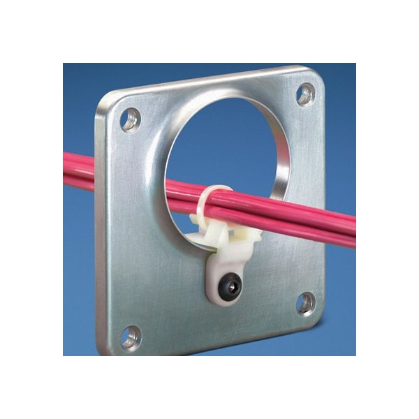 Panduit Cable Tie Mount, Lightening Hole #5 Scre LHMS-S5-C - main